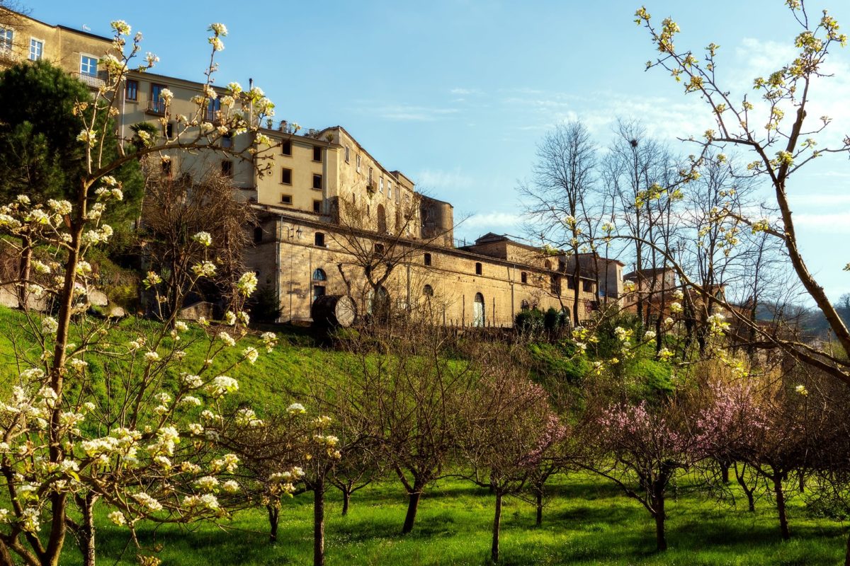 Cantine di Marzo, Tufo