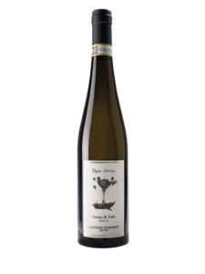 vigna serrone greco di tufo