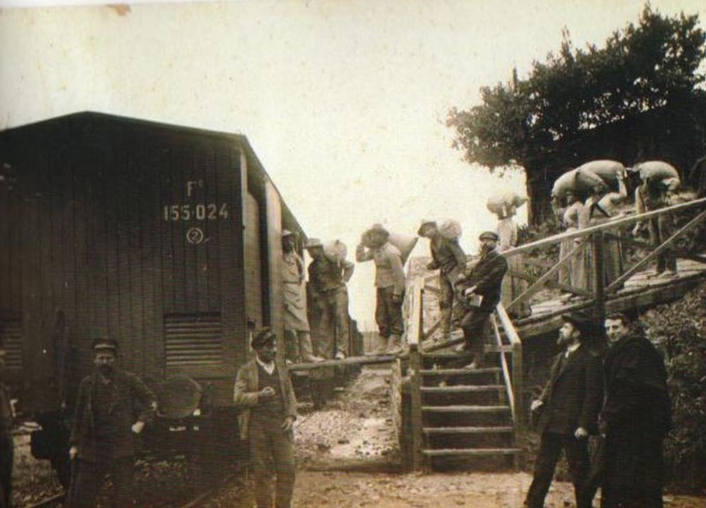 carico di zolfo presso la ferrovia di tufo